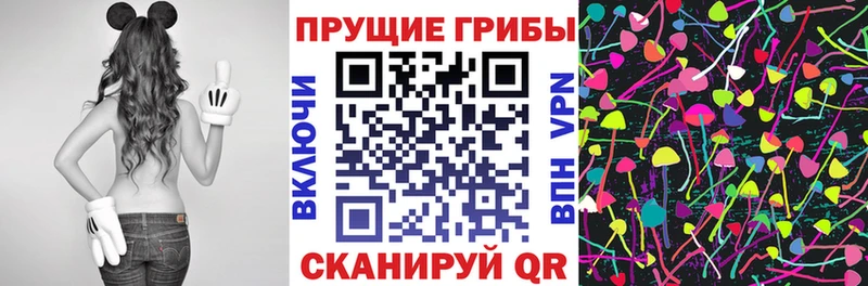 Галлюциногенные грибы GOLDEN TEACHER  купить наркоту  Сретенск 