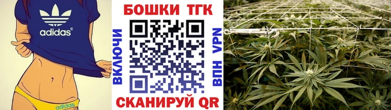 Канабис план  купить  цена  Сретенск 